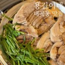 갈밭로 | 대구 대곡동 맛집 용길이네국밥집 항정볼살수육, 사골 우동국밥 먹어본 후기