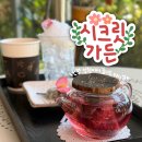 클라라애견 | 팔공산 애견동반 카페 시크릿가든 추천