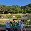 해피월드웰빙플러스 - 서대문구 응암로 76 | [육아휴직 12주차] 아들과 춘천 여행, 스파크플러스 잠실 근처 혼밥 식당 추천 (5/20~26)