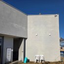 하이멍 | 부산애견카페 하이멍 다녀온 후기🐶 2000평 운동장부터 포토존까지 완벽!