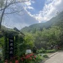 숲속산장 | 경북 포항 숲속 감성 카페 선류산장 솔직후기