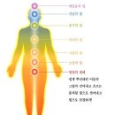 차크라 티스토리