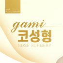 가미성형외과의원 이미지