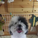 이쁘개(내포신도시점) 이미지