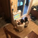 강원도 인제 펜션 추천 백담 레인보우펜션 다녀온 후기