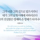 나인티쓰리 Daum카페