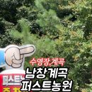 장성군 수영장 주차장 이미지