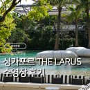 싱가포르 신혼여행 호텔추천 The Laurus(로러스호텔) 투숙후기 수영장 및 부대시설 소개