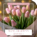 뽕아로마