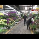 집안 분위기 살리는 화초기르기 | 나만 못하는 32평아파트인테리어