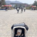 여행하기 좋은 날 | 서울근교 나들이 | 아기랑 가족여행하기 딱 좋은 서울대공원 동물원 후기! 수유실 정보