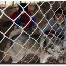 화신건강원 이미지