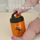 이유식 보온통 추천 칼 오스카 핸들 휴대성 좋은 보온 죽통 후기
