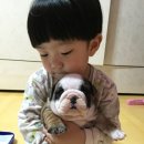 토실 토실 이미지