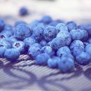 블루베리 이미지