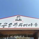 원곡 | 안성 원곡 맛집 내돈내산 후기 통큰손쭈꾸미마을 평택점