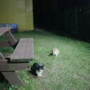 솔잎펜션 1 이미지