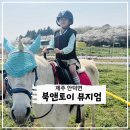 북앤토이 이미지