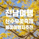 [전남여행]2023 전남 구례 산수유축제 방문후기