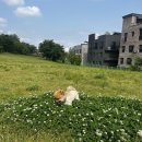 현촌근린공원 이미지