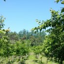 이상농장 이미지