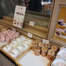 뚜레쥬르제과 | [ 코롬방제과 ] 1949년부터 한자리에서 영업중인 새우바게트 맛집 다녀온 솔직후기!