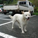 마애사(주차장) 이미지