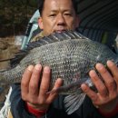 어심바다낚시터 이미지