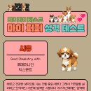마이퍼피 티스토리
