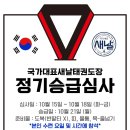 국가대표 새날 태권도장 이미지