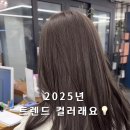 제아무스 네이버블로그