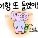 올크린 이미지
