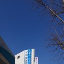 디즈니.스팍스 - 청주시 청원구 율봉로 126-2 | 디즈니.스팍스