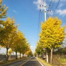 나운리조트숲속동 | 홍천 힐링리조트 힐리언스 선마을 숲속동 623 숙박후기