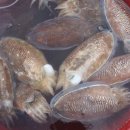 (주)연안약품 이미지