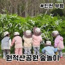 숲속하나어린이집 | 인천 원적산공원 숲놀이 어린이집 체험 학습