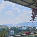 탐진농장 | 달랏 여행 메린 보다 땀찐 커피농장 투어 추천 +할인