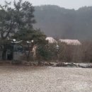 힐리 스토리 이미지