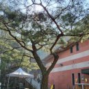 서창퍼블릭골프클럽 | [파3골프장] 신현리 서창퍼블릭골프클럽 후기