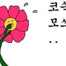 누필드