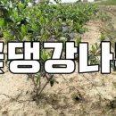 순천만정원 영농조합법인 네이버블로그
