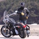 박속낙지 이미지