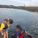 해바라기지역아동센터(1) | 평대해변! 제주 동쪽 다이빙 명소? 우린 쫄보라 스노클링~~ 근데 어마무시 해파리 무엇?ㅠ 바다뷰...