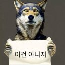 동서대학교 디자인전문대학원 | [자격증] 서비스경험디자인기사 필기 합격 후기 | 공부법 추천(feat. 벼락치기)