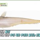 회가 이미지