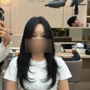 에센셜 | 아이돌렌즈 아이즈플러스 애쉬브라운, 에센셜그레이 후기