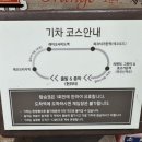 이지갤러리관광호텔 | 제주 에코랜드 여행 코스 추천｜호텔 1층 기프트숍 · 갤러리 베이커리 솔직 후기