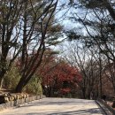 명동쫄면 - 남동구 만경로8번길 21 | 명동쫄면