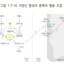 지방산 베타산화 이미지