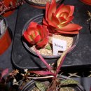 호남농장 이미지